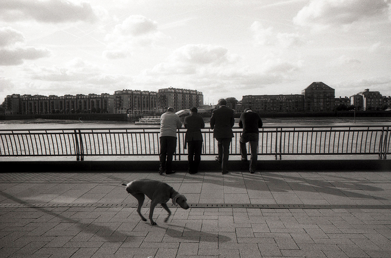 3-Legged Dog and Suits
