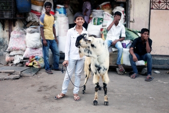 Boy and Goat